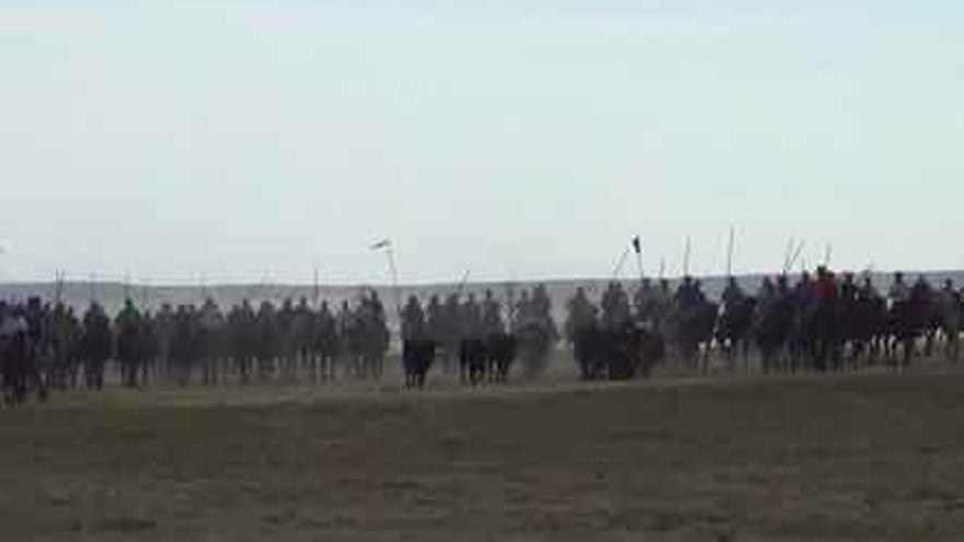 Un frente de caballistas tras la estela de los toros por el prado.