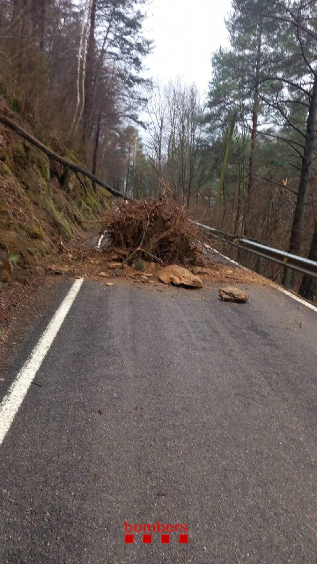 Un arbre i pedres enmig d'un camí al nucli de la Brugera de Ribes de Freser i que els Bombers han hagut de retirar.