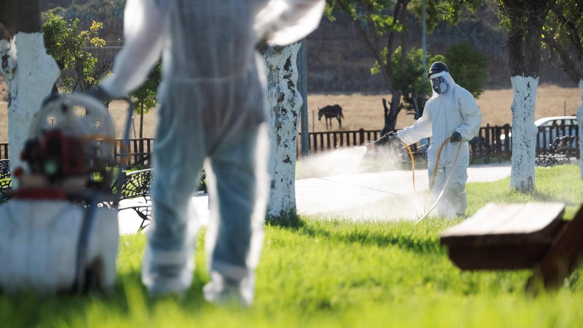 Un operario fumiga unos jardines en La Puebla del Río.