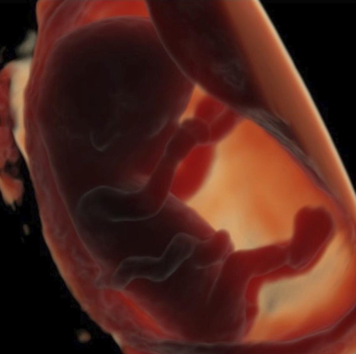 El consum excessiu d’ultraprocessats pot perjudicar la fertilitat i l’embrió