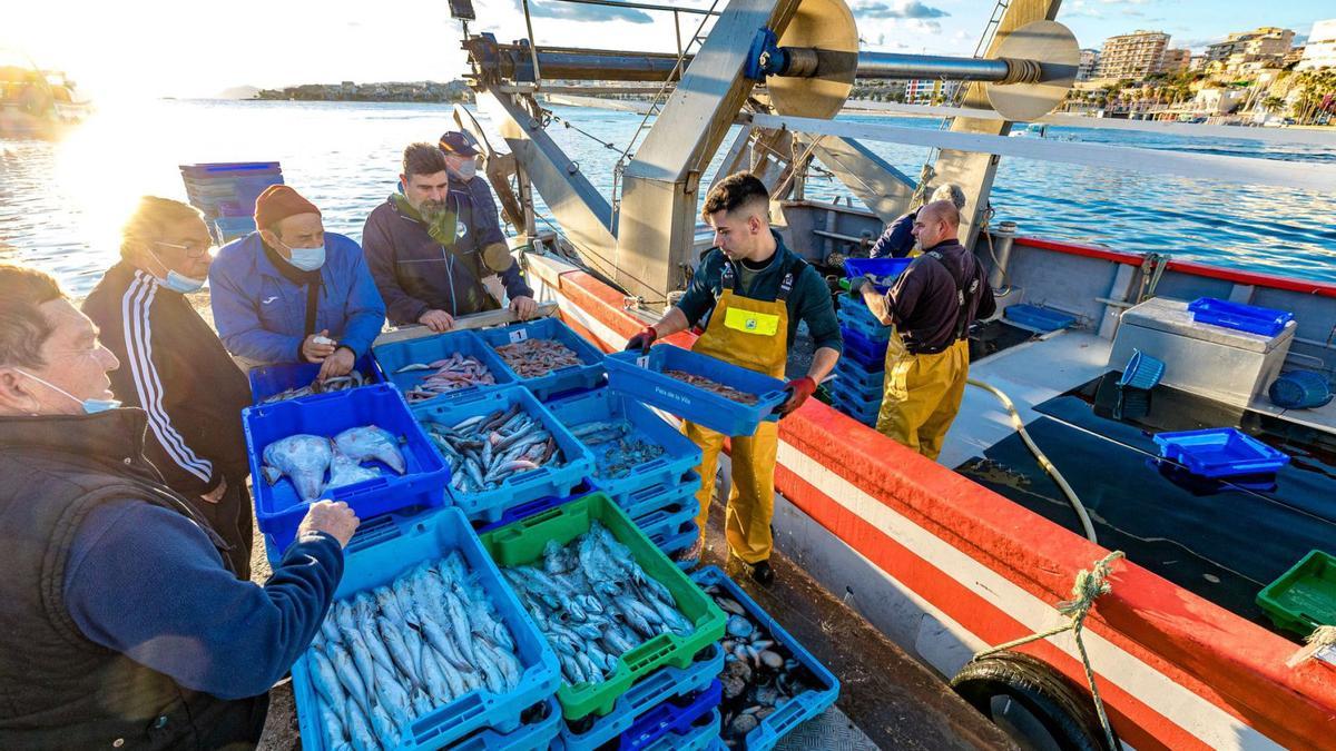 Varios marineros descargan las capturas de pescado del día en el puerto vilero. | DAVID REVENGA