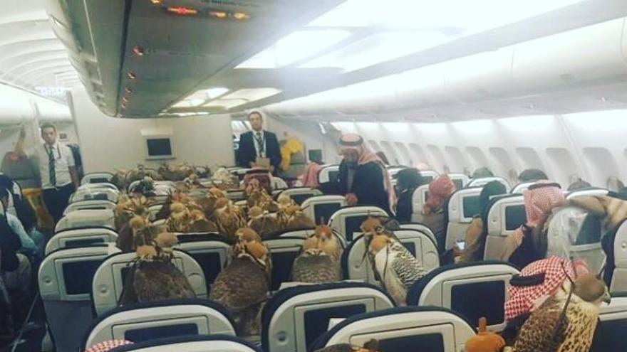 Un príncipe saudí paga el billete de avión a sus 80 halcones