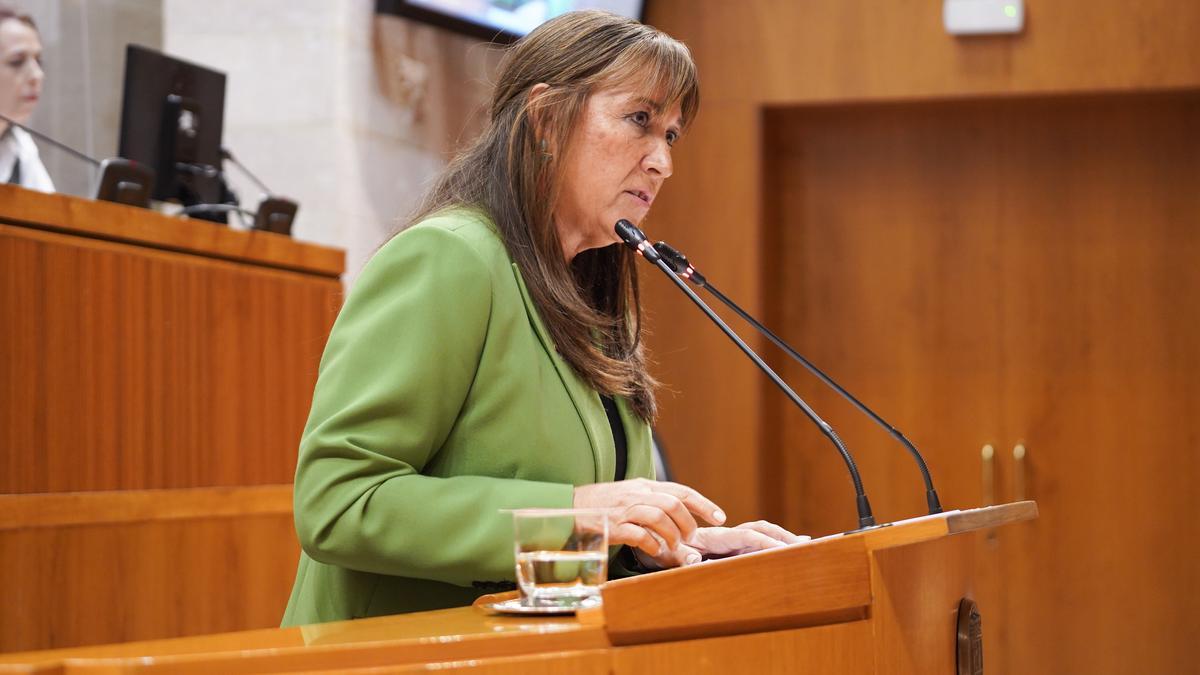 La consejera de Sanidad del Gobierno de Aragón, Sira Repollés, durante el pleno.