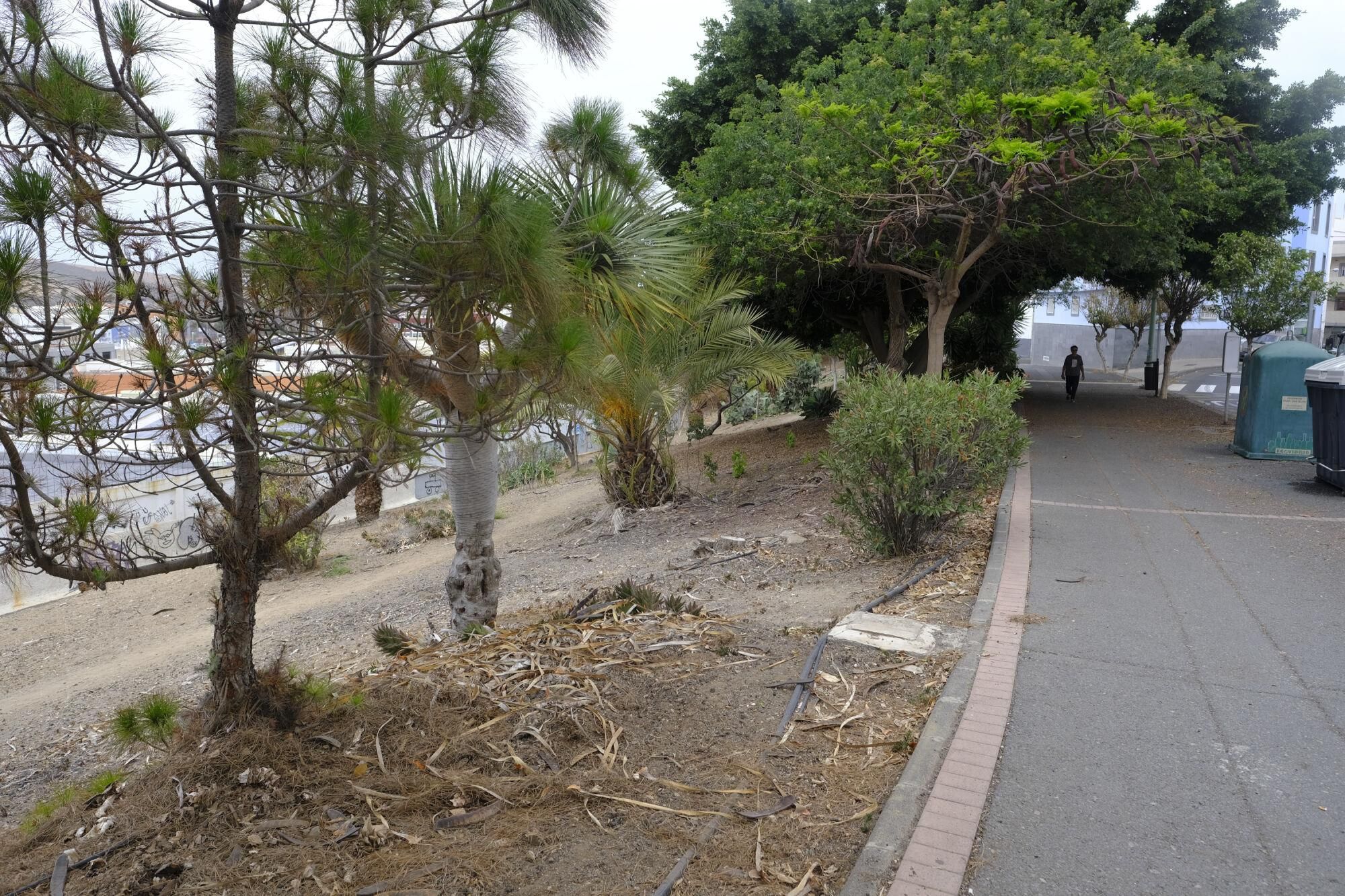 Mal estado de las zonas verdes en Las Torres