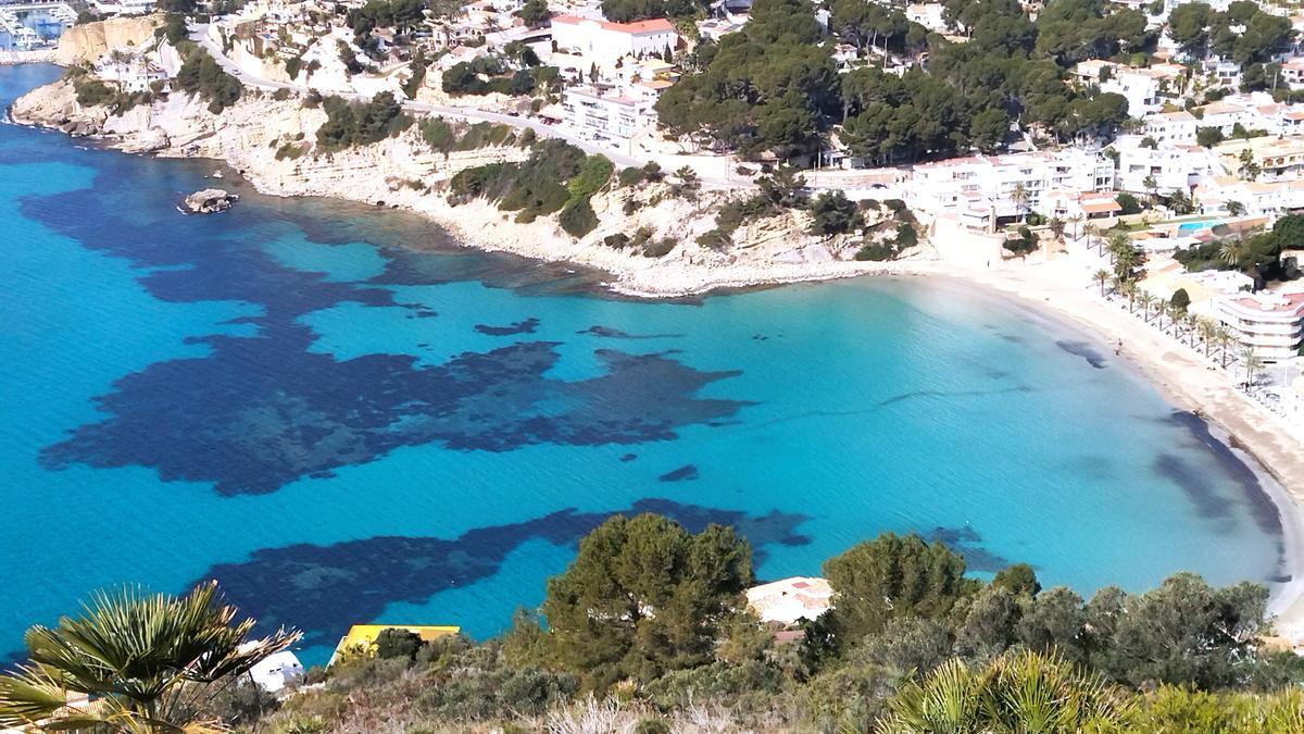 La playa del Portet y las praderas de posidonia en una imagen tomada desde el Cap d&#039;Or