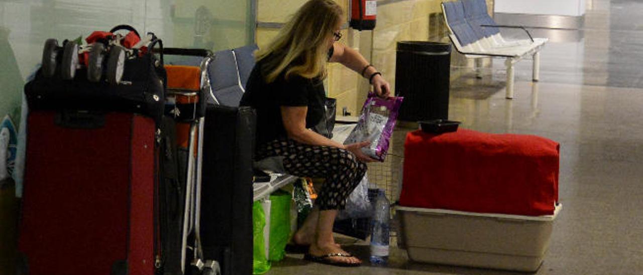 Petra da de comer a su perro Charlie en el aeropuerto grancanario.