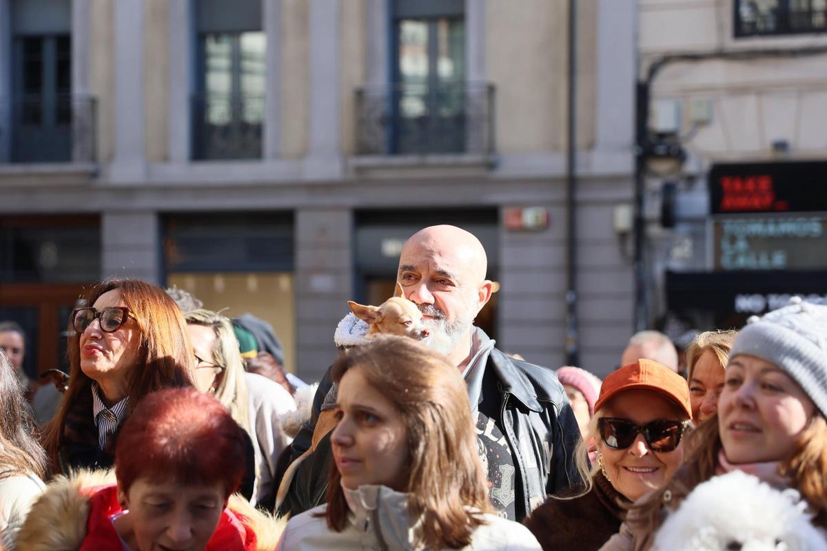 EN IMÁGENES: Oviedo bendice a sus mascotas por San Antón