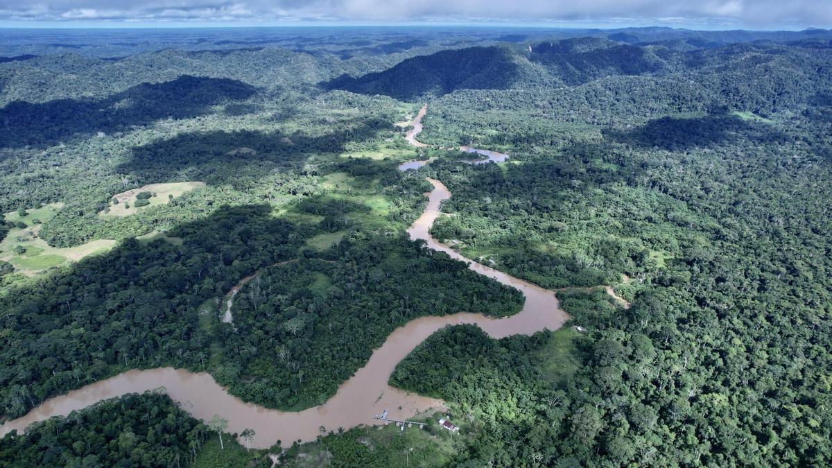 Vista panorámica del parque nacional donde vive el ave descubierta, en Brasil