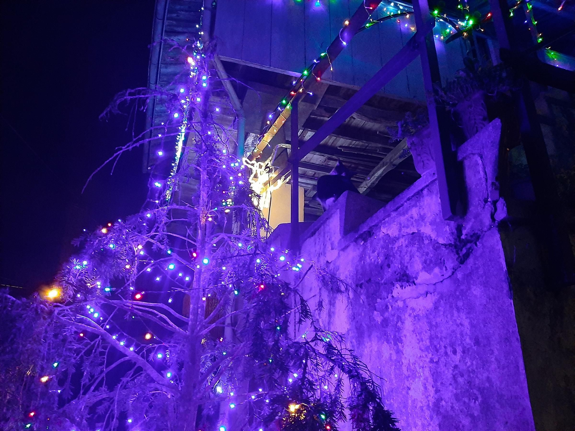 Así brilla Ables en Navidad: la decoración de sus casas, en imágenes