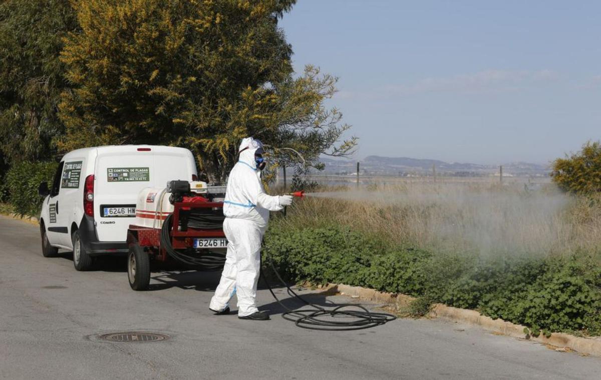 Fumigación de nubes de mosquitos con adulticidas. | JOAQUÍN CARRIÓN