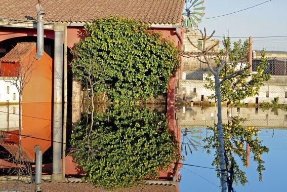 In dem kleinen Dorf in der Nähe des Flughafens von Mallorca steht das Wasser - und fließt seit Dezember nicht ab. Die Anwohner beklagen die Untätigkeit der Politik.