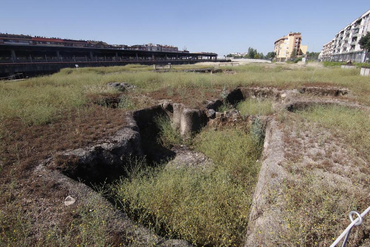Urbanismo y Sadeco inician la limpieza del yacimiento de Cercadilla Urbanismo y Sadeco inician la limpieza del yacimiento de Cercadilla