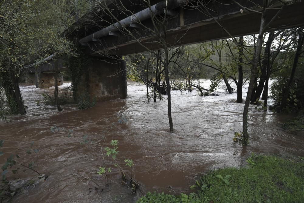 El río Nalón desbordado a su paso por Pravia y Quinzanas