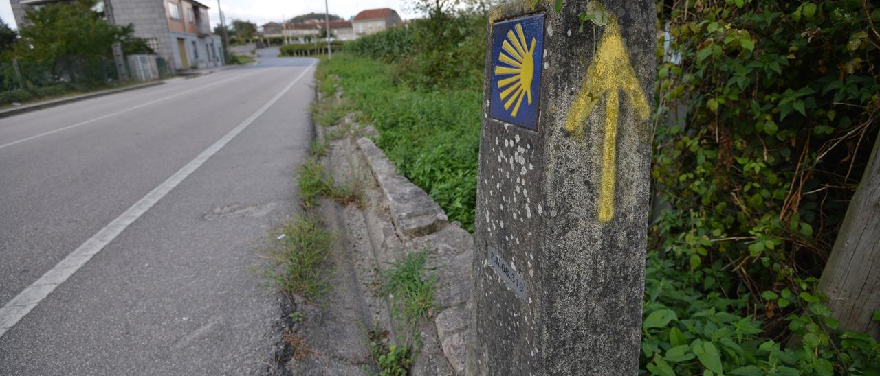 Camino de Santiago en Tomeza/ Gustavo Santos