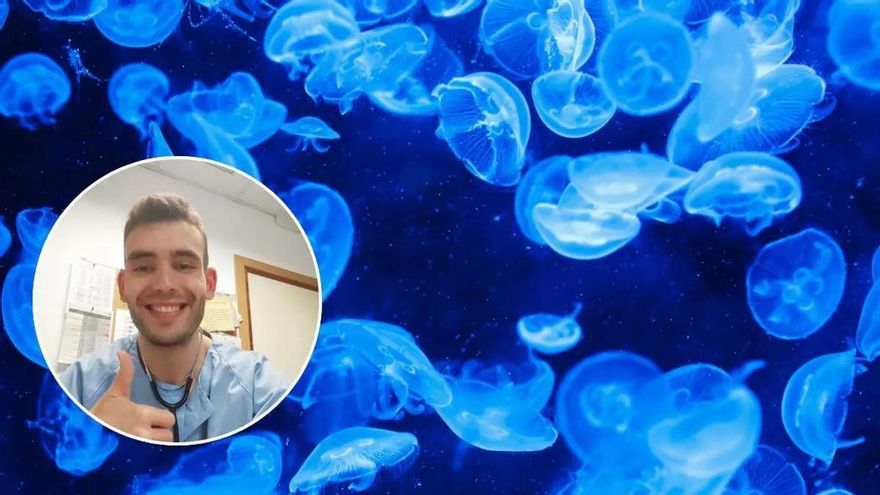 El enfermero Jorge Ángel sobre cómo curar la picadura de una medusa: &quot;Está totalmente contraindicada&quot;