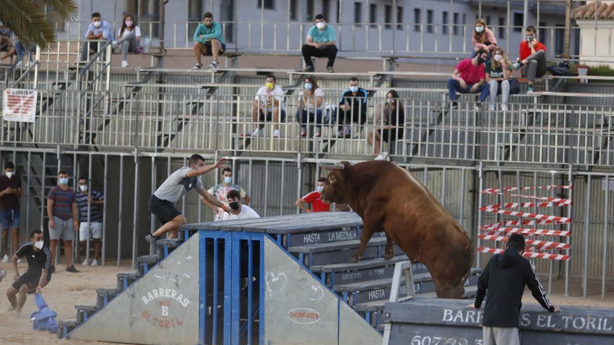 Jornada taurina gratuita en Vila-real para peñas y vecinos este viernes