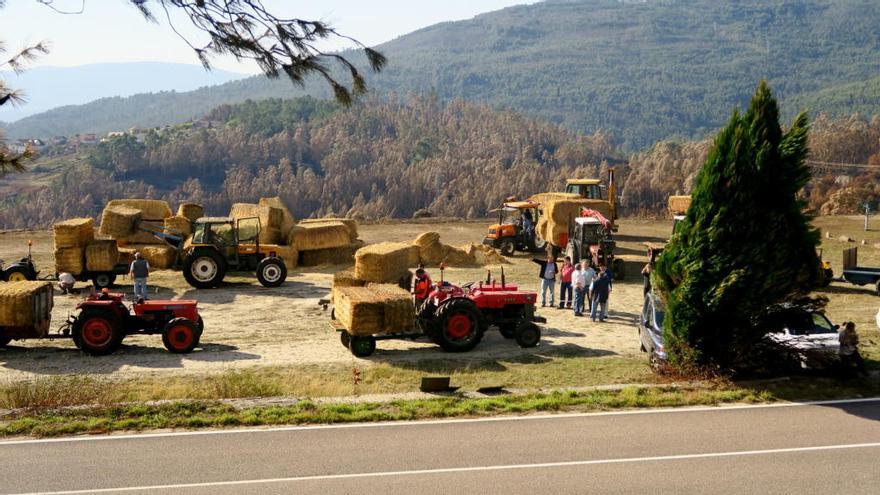 Tractores repartiendo paja para los montes quemados en Ponte Caldelas