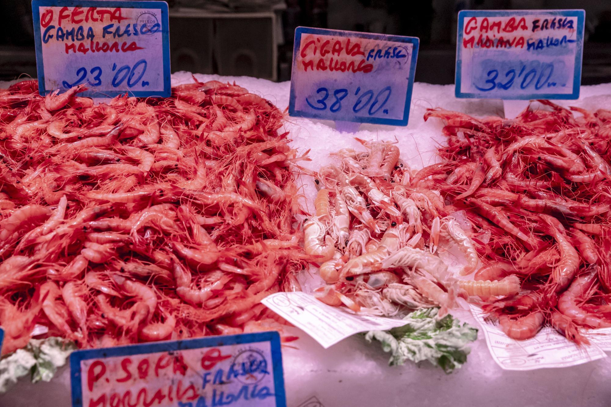 Vuelve el pescado mallorquín a las lonjas