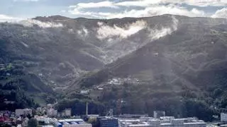 De propiedad y el monte Polio