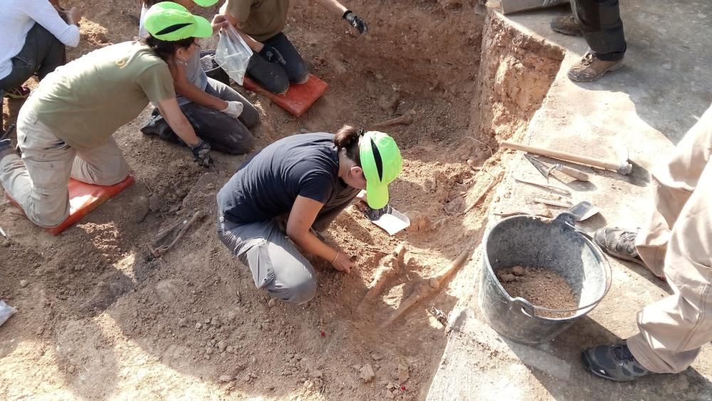 Segundo día de trabajos de exhumación en la fosa de Porreres