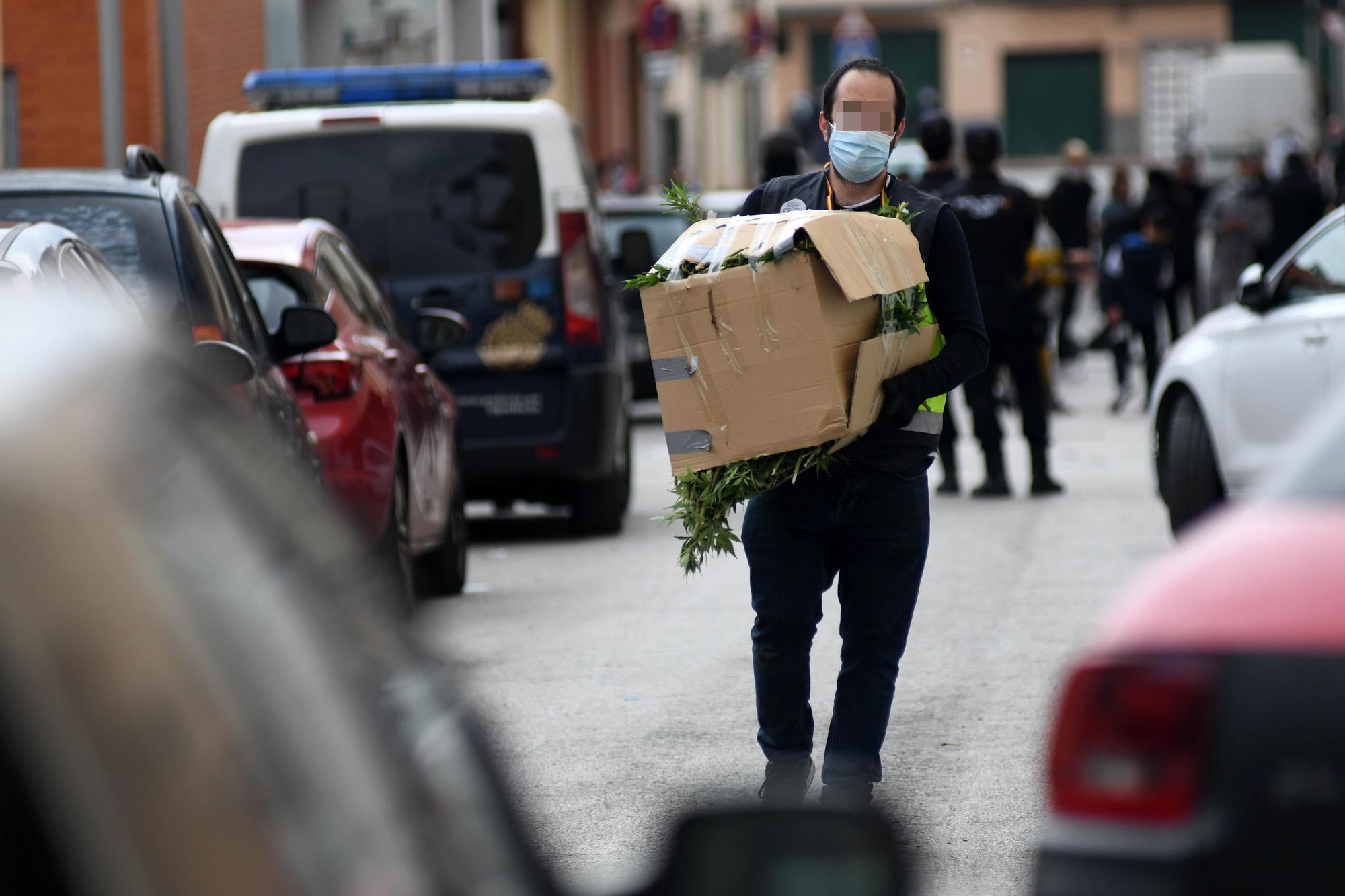 Golpe al cultivo de marihuana en el Espíritu Santo de Espinardo