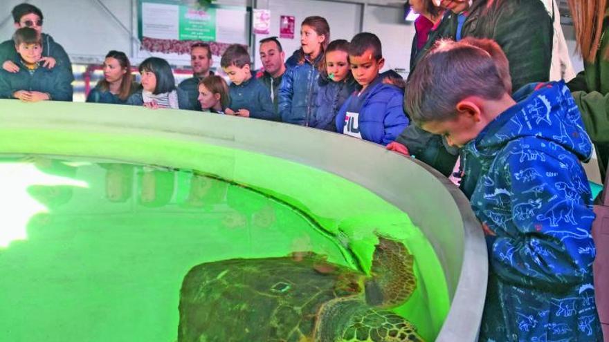 Una oferta educativa centrada en la protecció de la biodiversitat marina