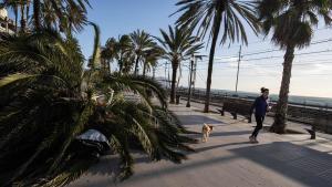 Com protegir finestres i persianes davant de ratxes intenses de vent?