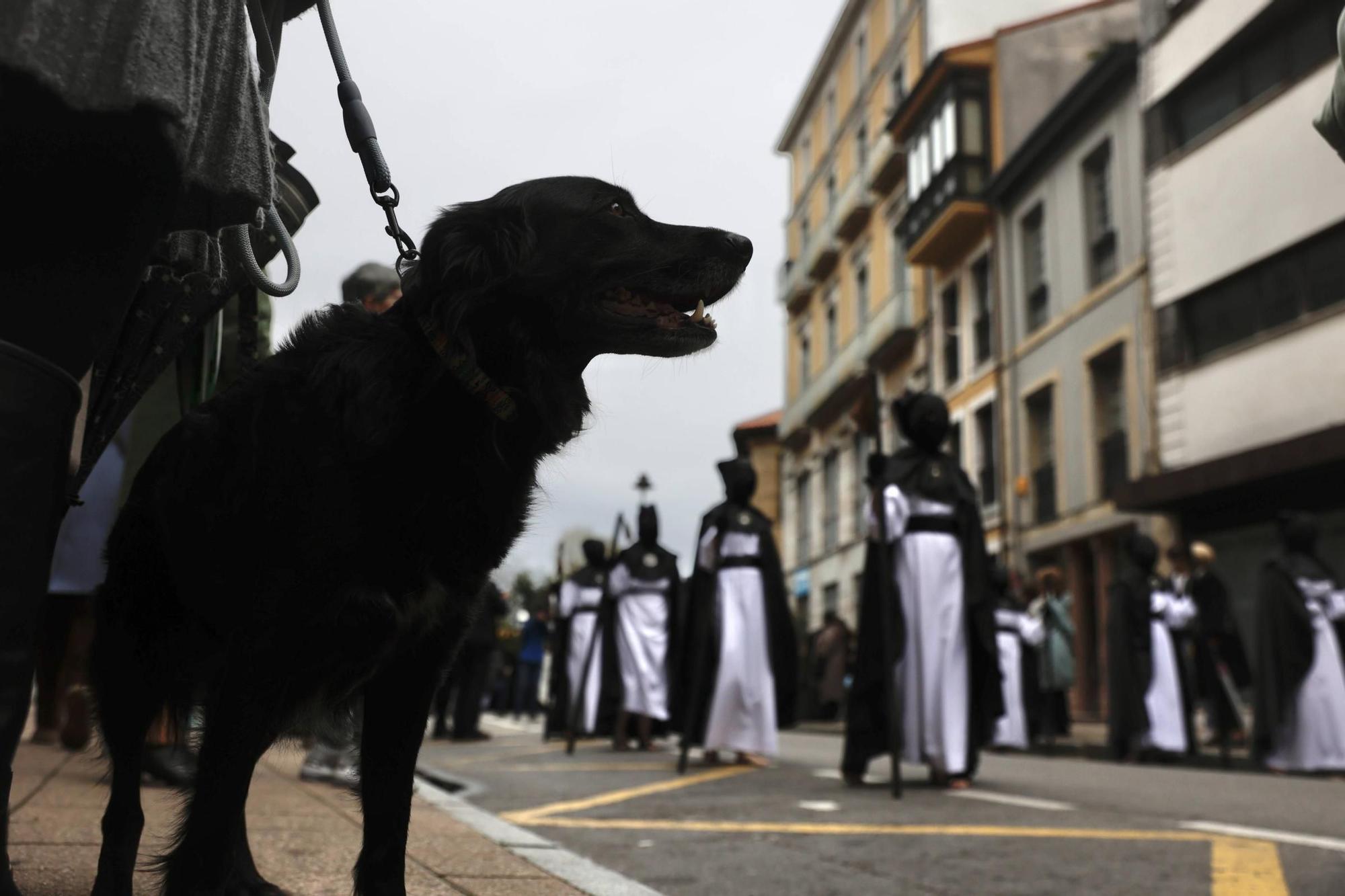 EN IMÁGENES: laprocesión del Beso de Judas en Avilés