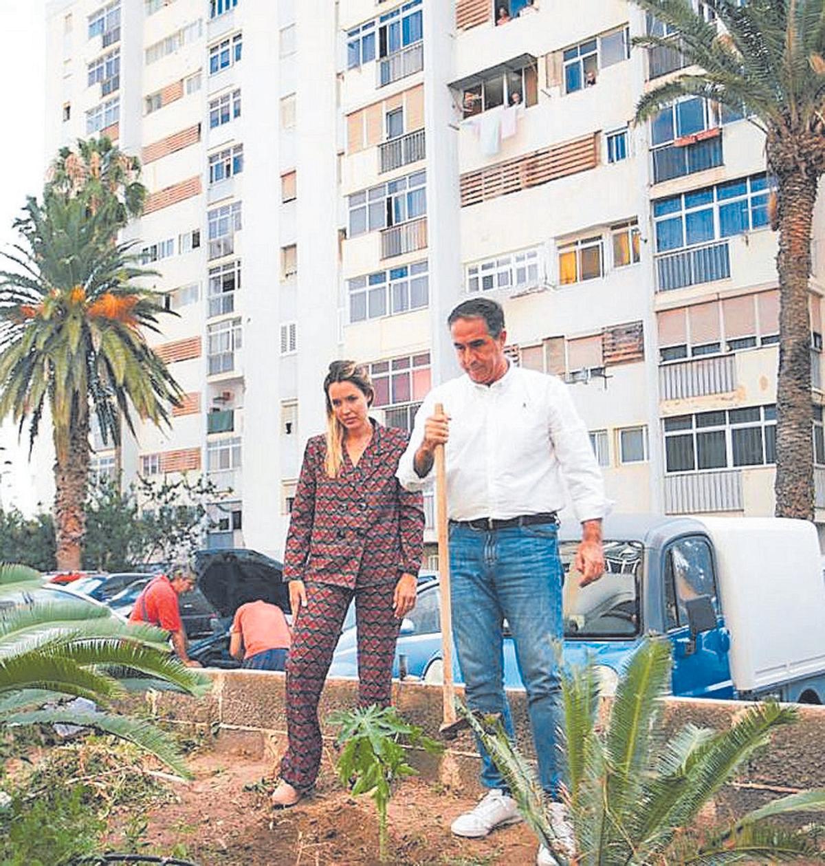 La campaña no para. Los candidatos continúan con sus apretadas agendas y con sus propuestas de todo tipo. Ayer los candidatos de Coalición Canarias se comprometieron a triplicar el número de árboles en la capital y el PP prometió buscar un acuerdo entre vecinos y empresarios para evitar «conflictos» por el ocio.