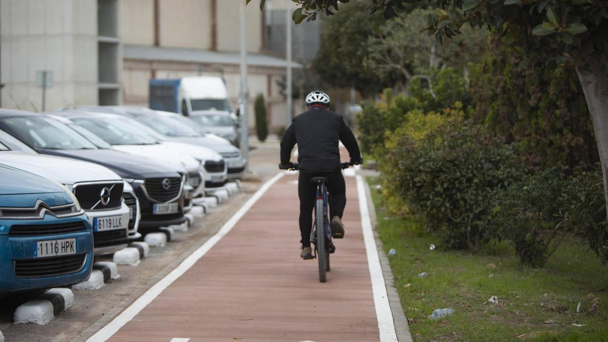Un ciclista, por un carril bici.