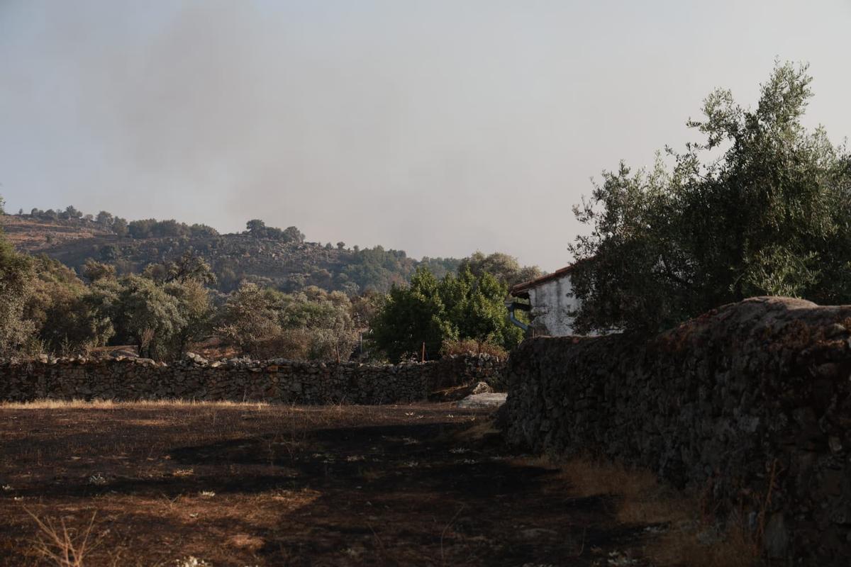 Fotogalería | Los vecinos vuelven a sus casas: así ha quedado Villar de Plasencia