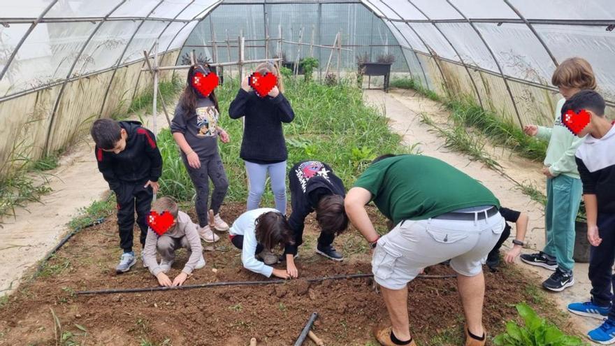 El CEIP Sant Marc de Beniarjó convierte el huerto escolar en un espacio de educación ambiental