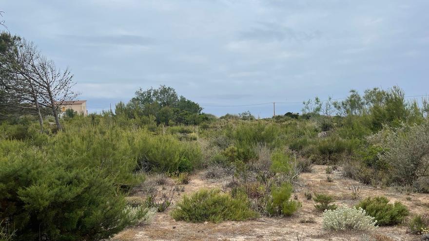 Playas en Mallorca: Més per Campos pide una placa en ses Covetes que recuerde la lucha ecologista