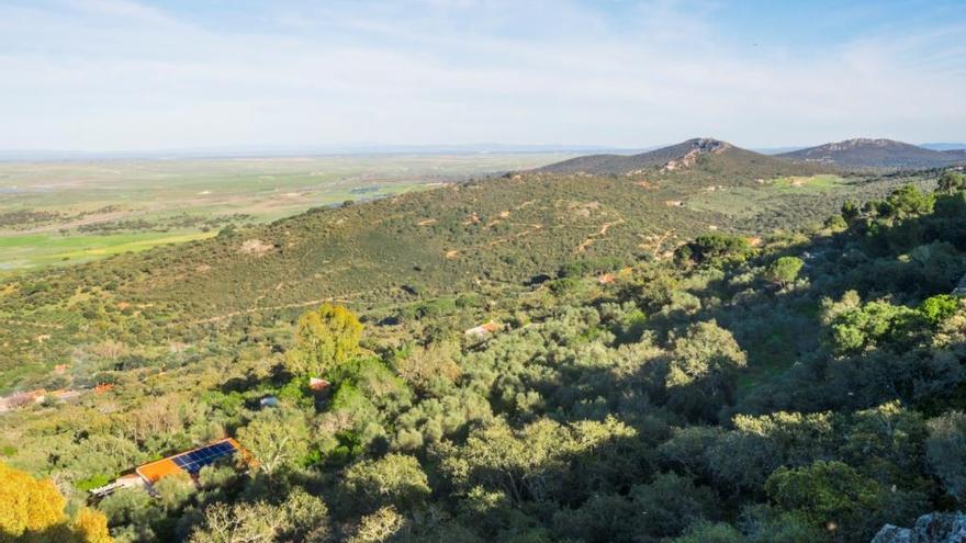 Aumentan las aves rapaces en la Sierra de la Mosca