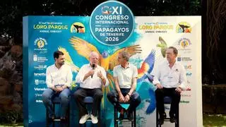 Tenerife se convierte en el epicentro mundial de la ciencia y conservación de los papagayos