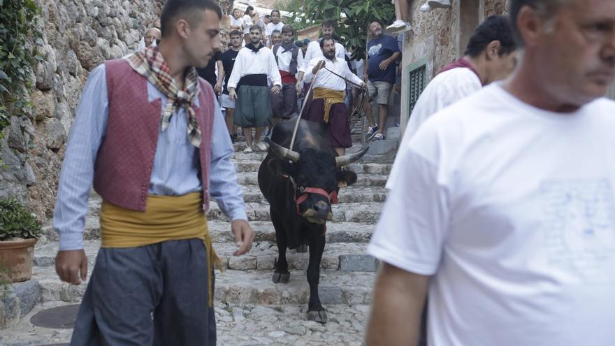 Así ha sido el correbou de Fornalutx