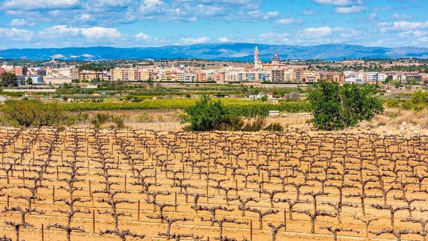 Chollazo inmobiliario en Valencia: parcela urbana de 740 m2 por 45.000 euros