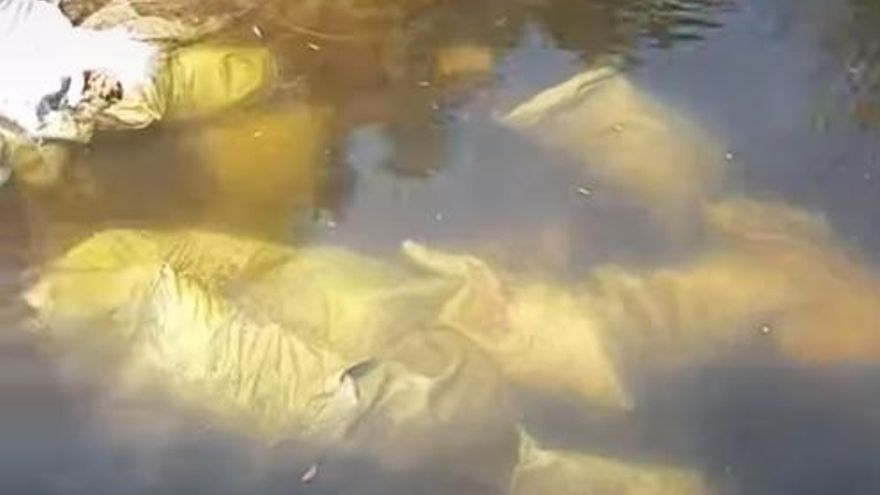 Depositan sacos de escombros en el torrent de Sant Jordi de Pollença