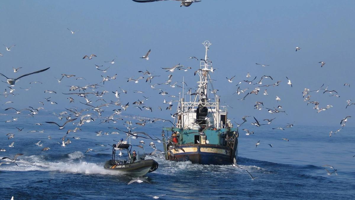 Nuevo sistema de sanciones a los países que toleren la pesca ilegal
