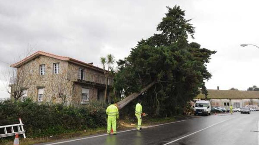 La reparación de los daños del temporal, que causó pérdidas millonarias, durará semanas