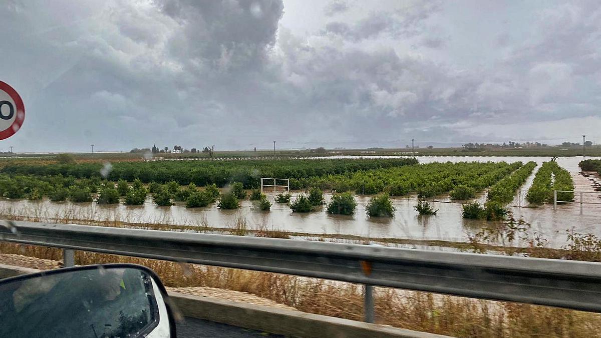 Término municipal de Sollana, inundado tras las fuertes lluvias del jueves. | LEVANTE-EMV