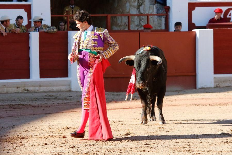 Tarde de toros en Zamora