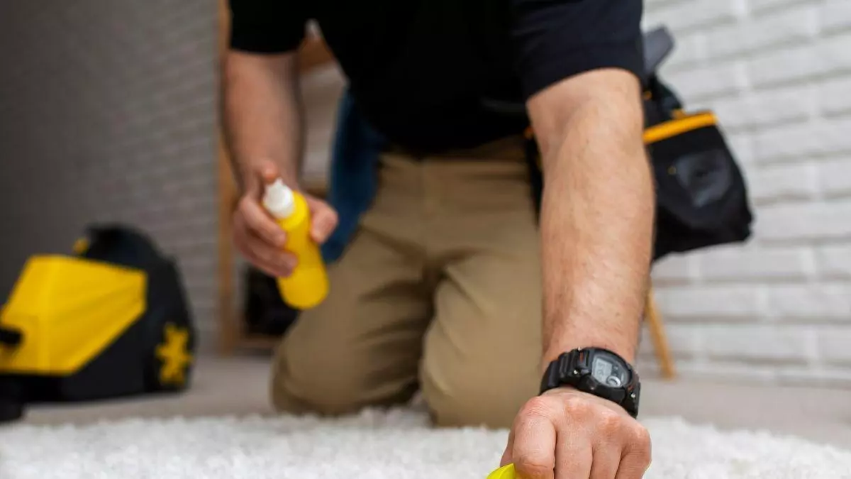 Cómo quitar manchas fácilmente: el paso a paso y cómo limpiar cualquier superficie con el mismo accesorio