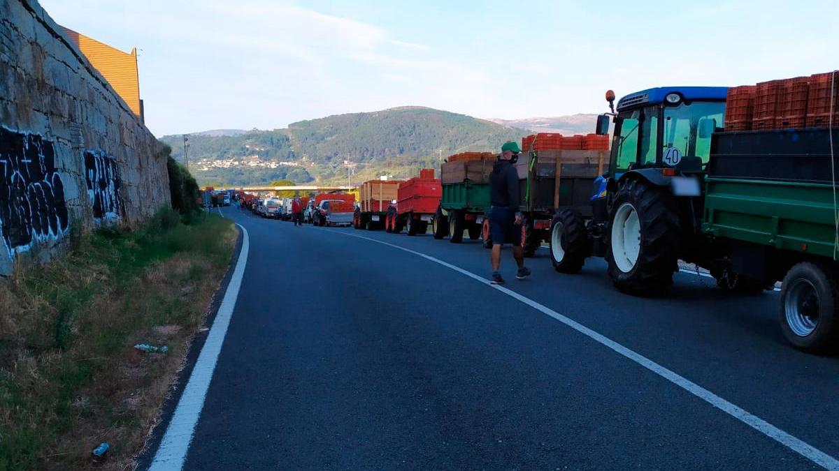 Largas colas, de hasta seis horas, para la entrega de la uva en las bodegas de Viña Costeira. // FdV