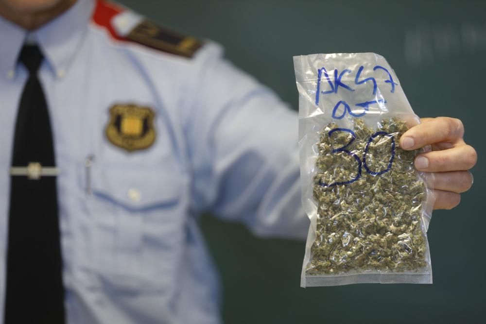 La marihuana «made in Ullà» que arribava per carta a tot el món