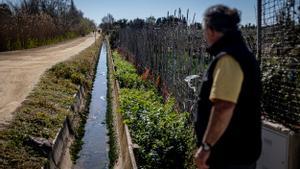 Regantes del Baix Llobregat, que alimentan a miles de barceloneses, advierten de que si la ACA no arregla el problema, peligrarán las cosechas