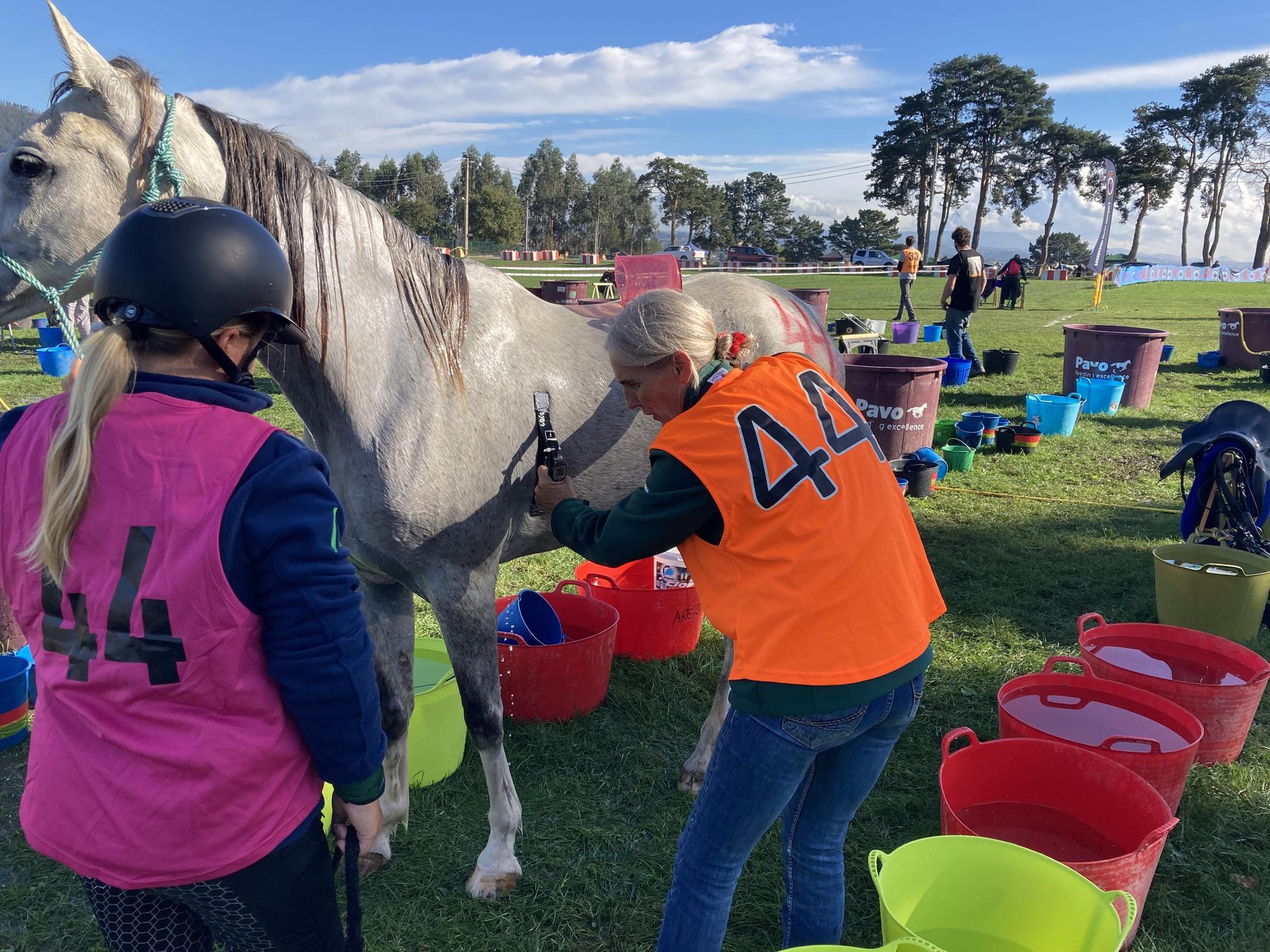 Llanera se llena de caballos con el campeonato de España de Raid Interautonomías