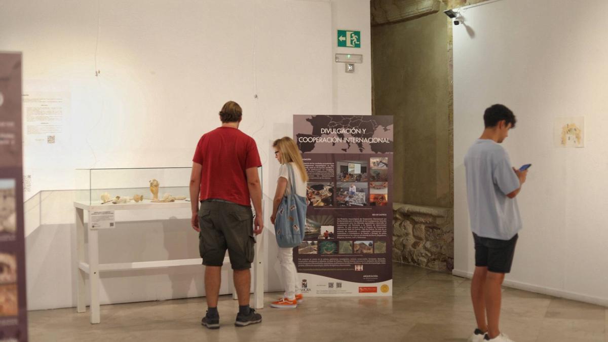 Público contempla la muestra sobre arqueología abierta en la Alhóndiga