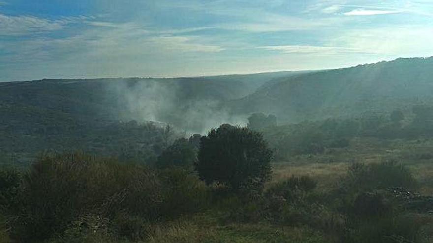 El humo provocado por el incendio de ayer en el arribanzo entre Pino y Carbajosa.