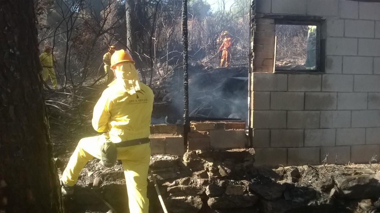 Grupo de Pronto Auxilio de las Siete Fincas: guardianes contra el fuego